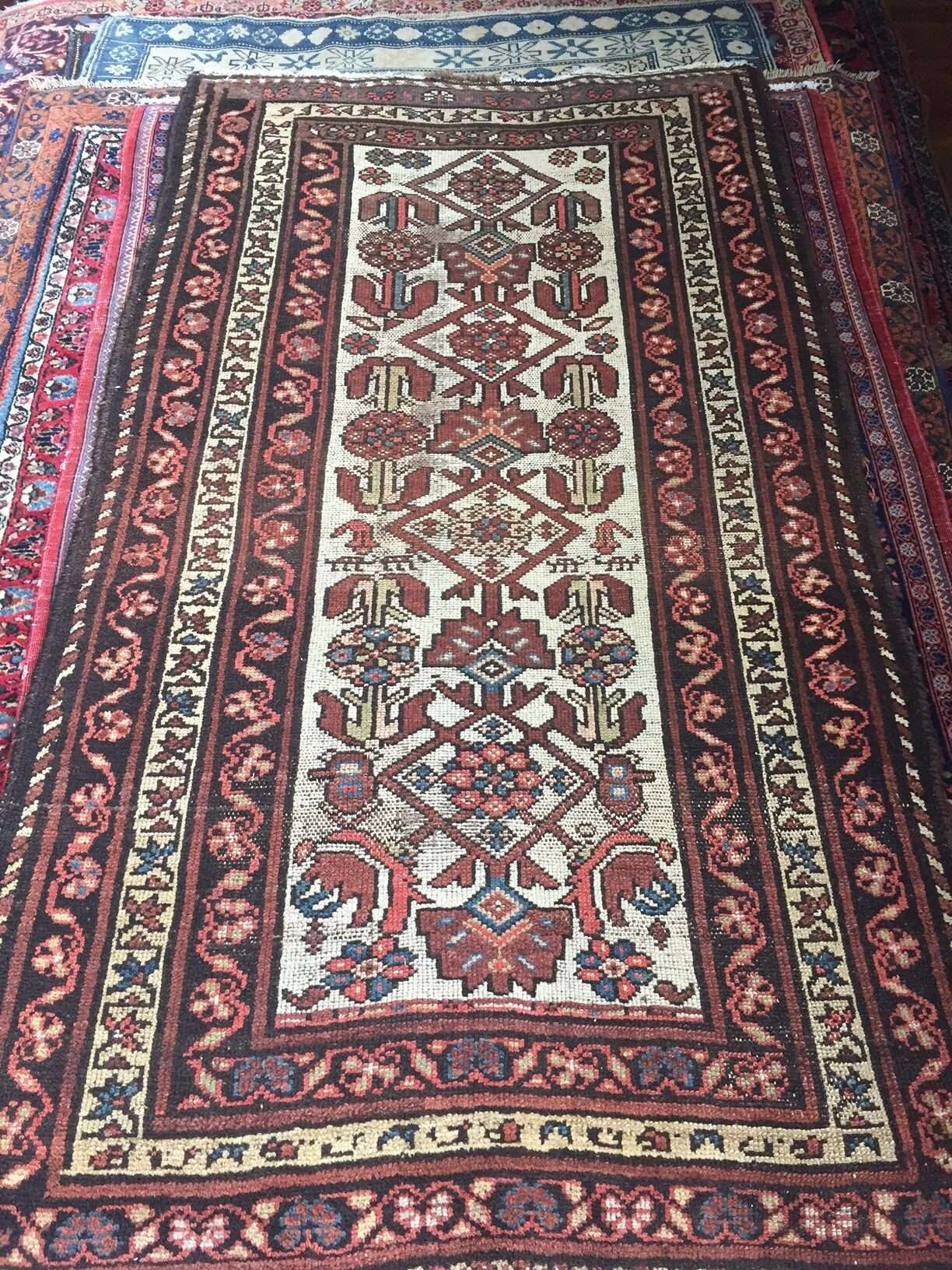 The Rug Merchant by Phillip Lopate The Rug Merchant by Phillip Lopate